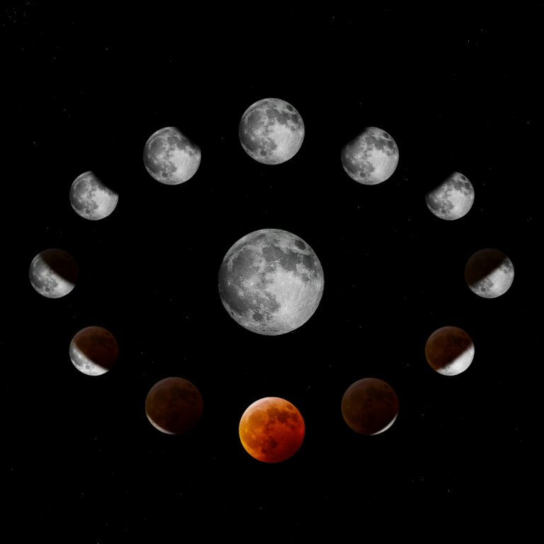 Månens cyklus